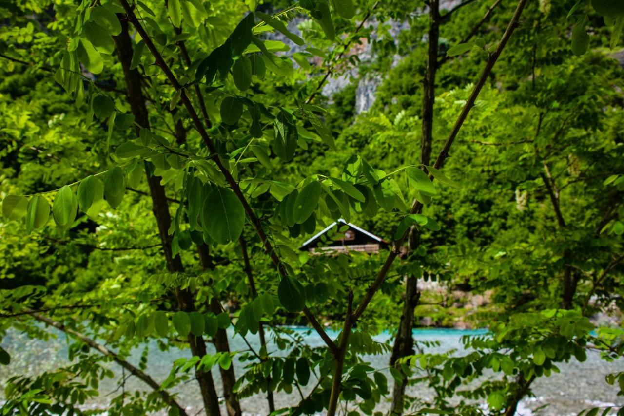 Hotel Eagles Land Koman Exterior foto